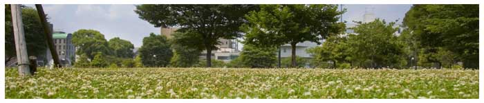 事務所は白川公園のすぐ近くです