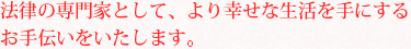 法律の専門家として、より幸せな生活を手にするお手伝いをいたします。